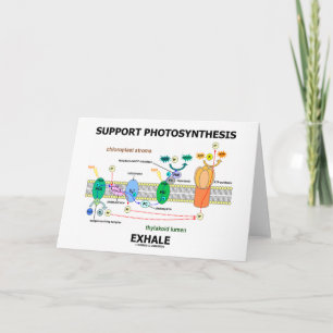 Carte Support Photosynthèse Exhale (De l'environnement)