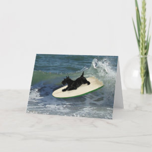 Carte Surf Scottish Terrier