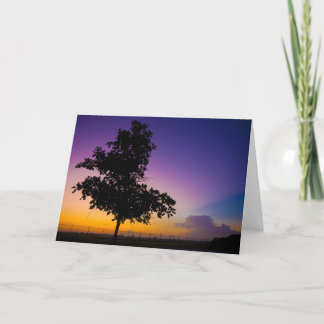 Carte Surise au champ d'archer