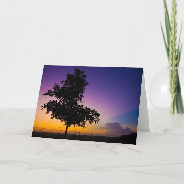 Carte Surise au champ d'archer (Devant)