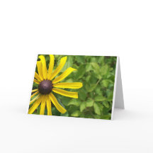 Susan aux yeux noirs