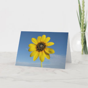 Carte Susan aux yeux noirs (verticale)
