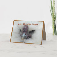 Suzzie Bantam 2143- personnaliser