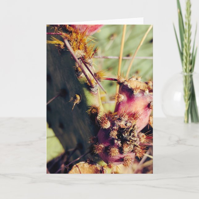 Carte SW Textures Title Frame (Devant)