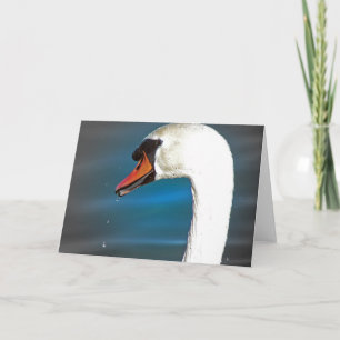 Carte Swan