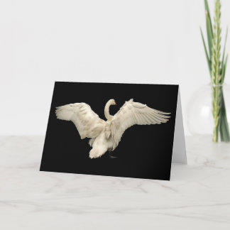 Carte Swan