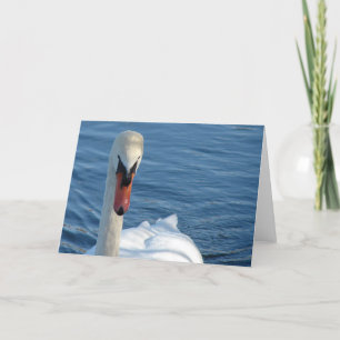 Carte Swan