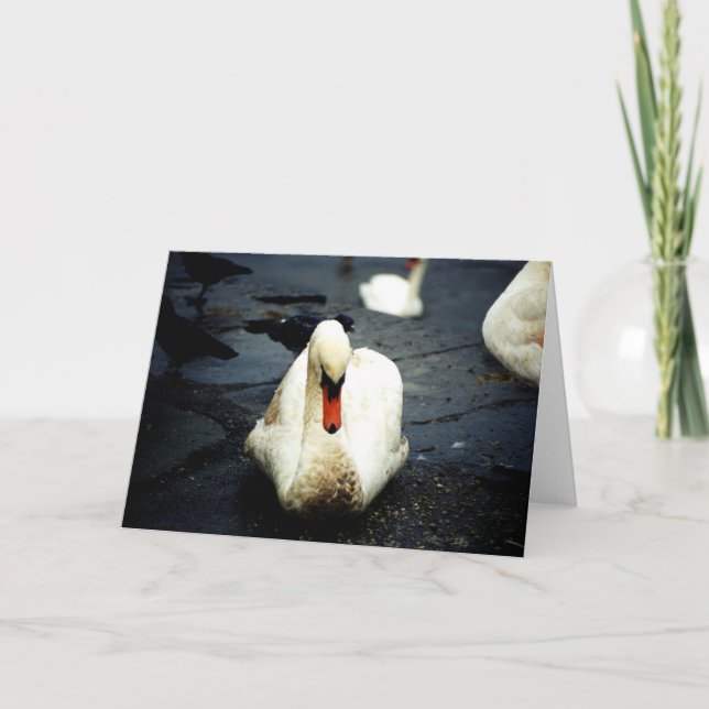 Carte Swan - Galway, Irlande (Devant)