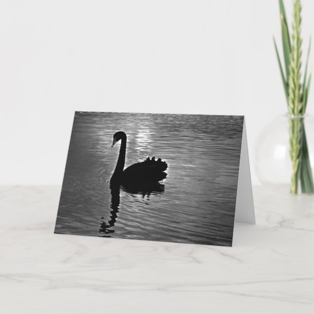 Carte Swan noir - Animal autochtone australien (Devant)