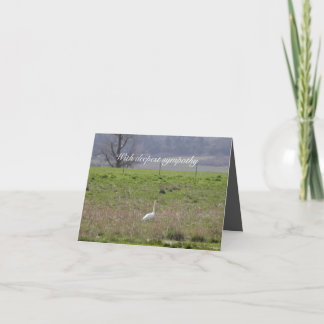 Carte Swan trompette San Juan Island Anniversaire|Sympat