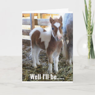 Carte SWEEEET DONKEY DIT HEUREUX 30ème ANNIVERSAIRE ! Ca