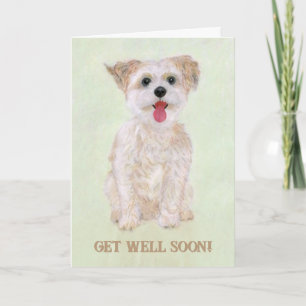 Carte Sweet Biscuit Get Well Card