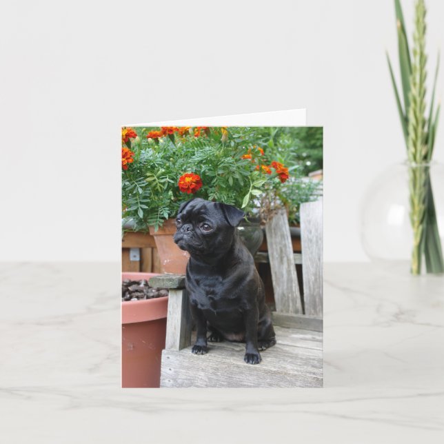 Carte Sweet Black Pug Note Card - blank (Devant)
