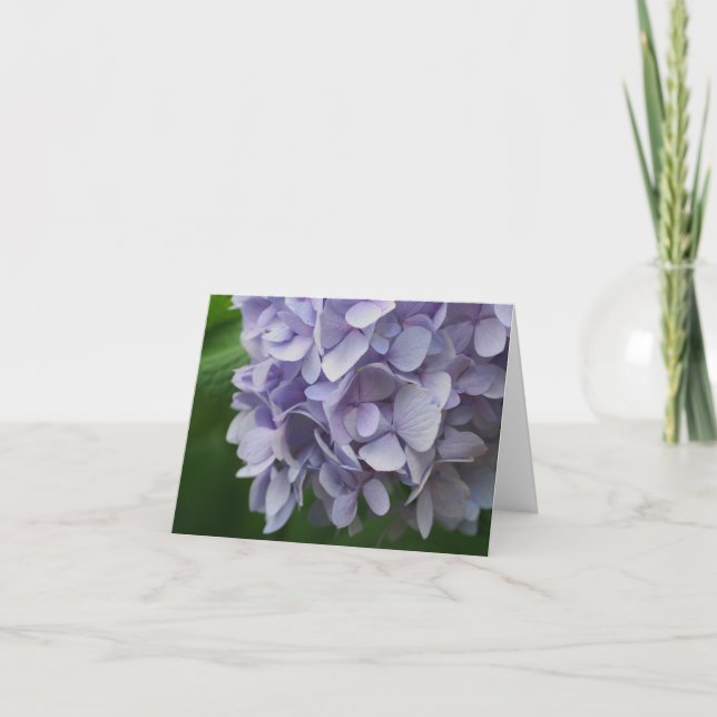 Carte Sweet Blue Hydrangea Flower Photography Note (Devant)