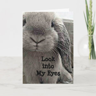 CARTE SWEET BUNNY ESPÈRE DE DIRE JEUX ANNIVERSAIRE