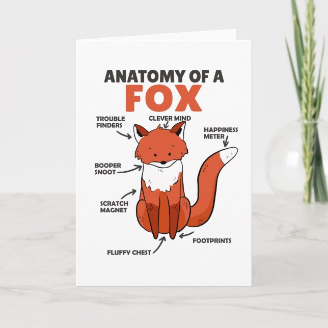 Carte Sweet Fox Explication Anatomie De Fox (Devant)
