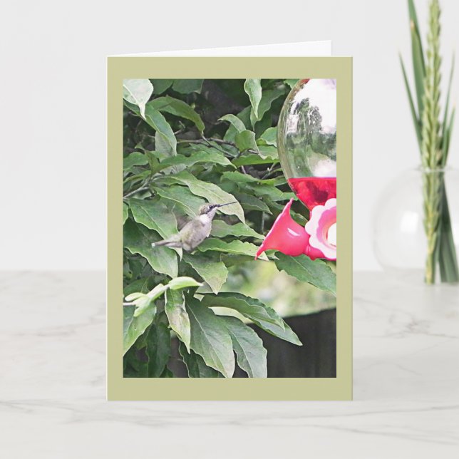 Carte Sweet Humming Bird Anniversaire Souhait (Devant)