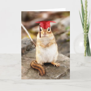 Carte Sweet Little Chipmunk Graduate Greeting Card