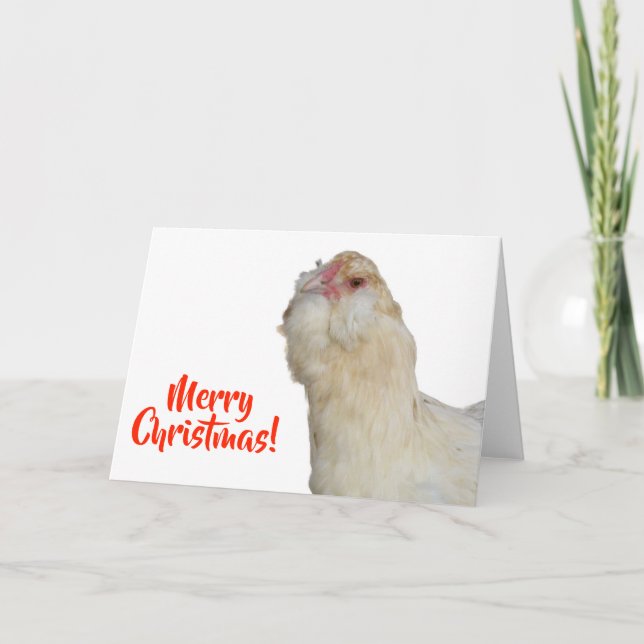Carte Sweet Rare Wheaten Ameraucana Hen Joyeux Noël (Devant)