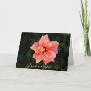 Carte Sweet rose Hibiscus Fleur Texte Personnalisé