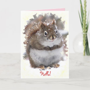 Carte Sweet Squirrel Penser à vous