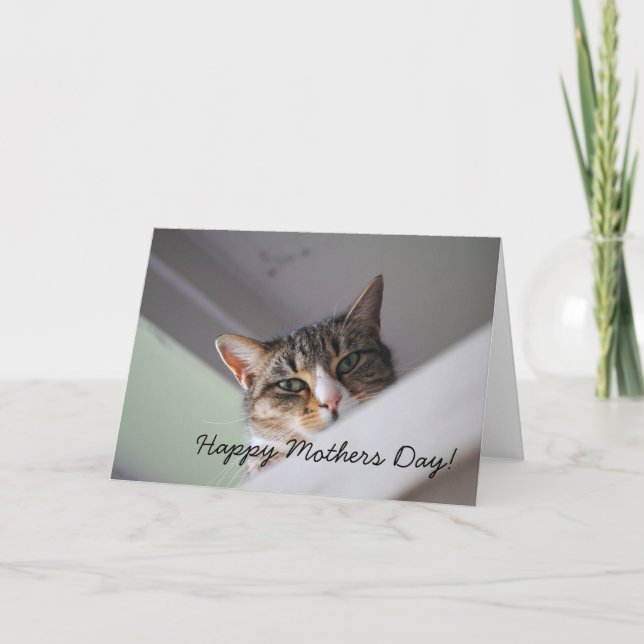 Carte Sweet Tabby Chat Happy Mothers Day Card (Devant)