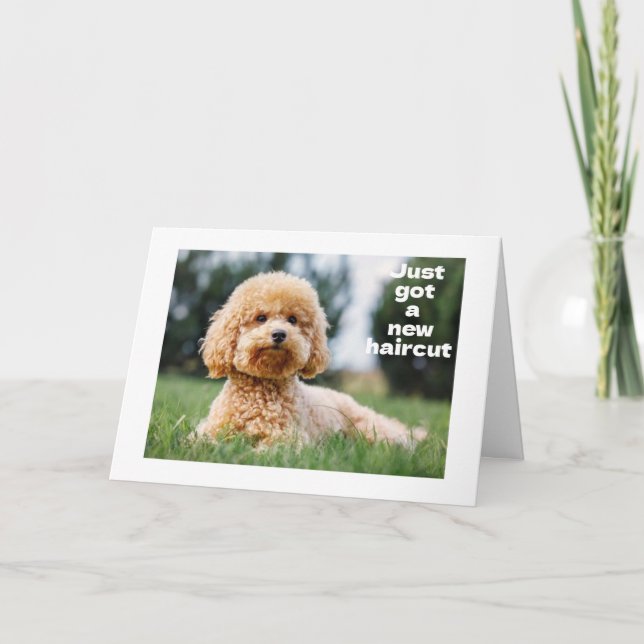 Carte SWEET TEDDY BEAR écrit "HEUREUX "60ème anniversair (Devant)