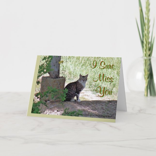 Carte SweetiePie-MissYou-customisez toute occasion (Devant)
