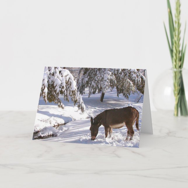 Carte Sylvia (Devant)