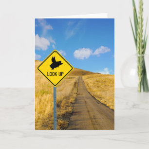 Carte Symbole de porc volant