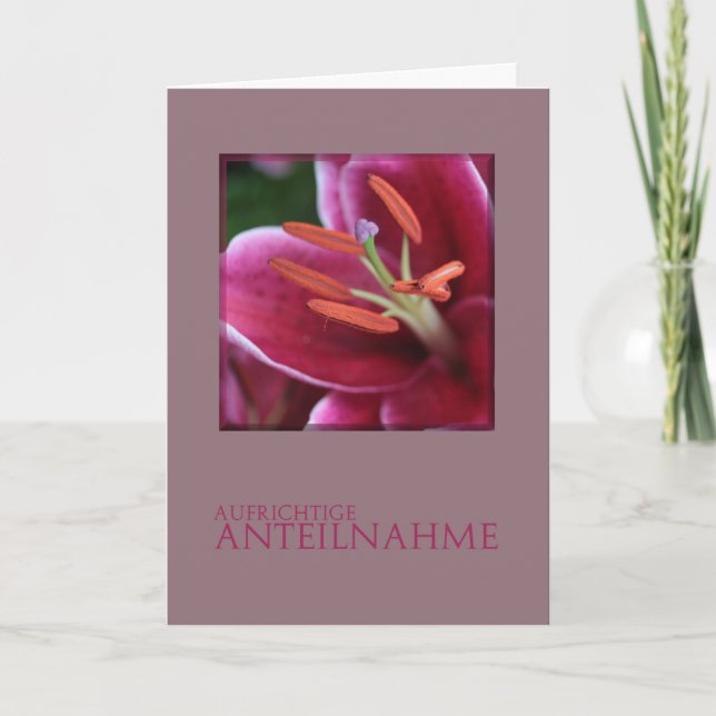 Carte Sympathie allemande Lily de tigre rose (Devant)