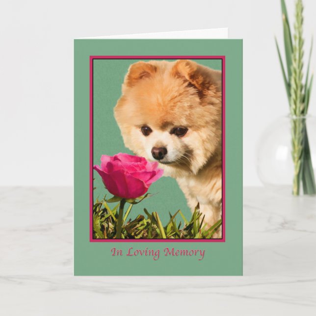 Carte Sympathie, animal familier, chien de Pomeranian et (Devant)