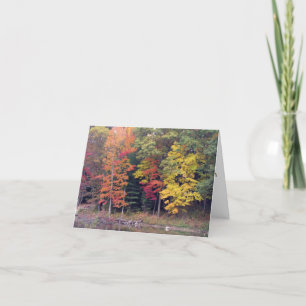 Carte Sympathie - arbres d'automne et lac