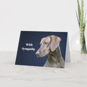 Carte Sympathie avec la photo de Chien Brown de Vizsla