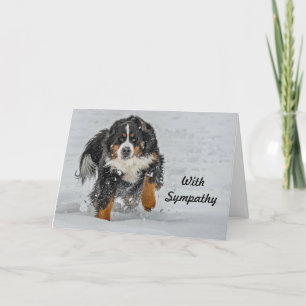 Carte Sympathie avec la photo de neige du chien de monta