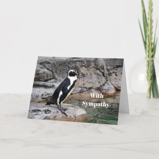 Carte Sympathie avec la photo de Pingouin de la faune (Devant)