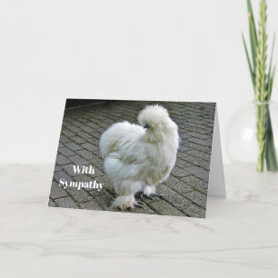 Carte Sympathie avec la photo Poulet blanc Silkie