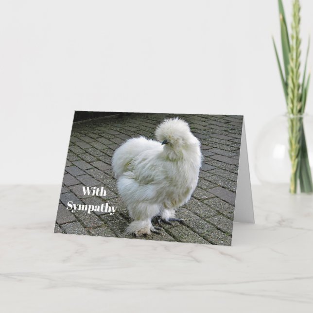 Carte Sympathie avec la photo Poulet blanc Silkie (Devant)