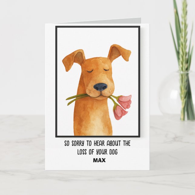 Carte Sympathie avec l'animal (Devant)