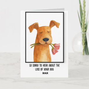 Carte Sympathie avec l'animal