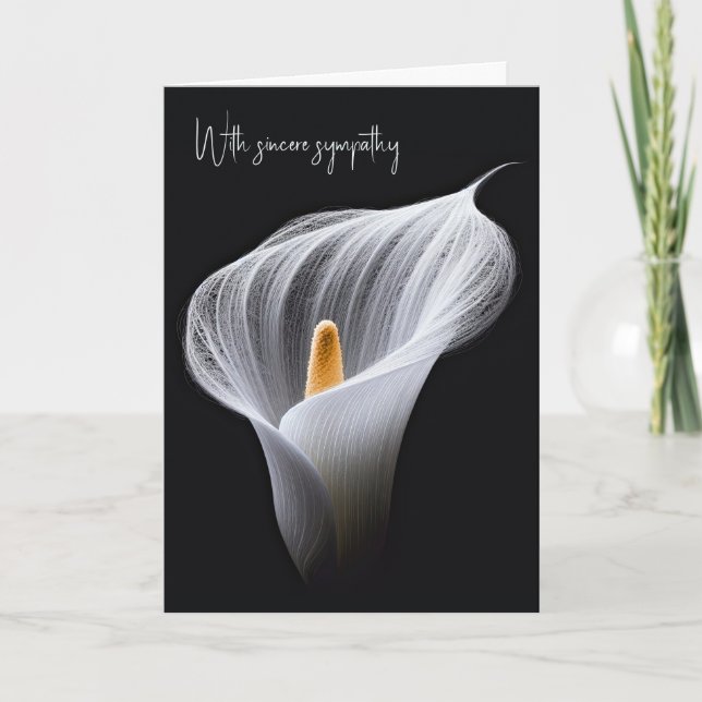 Carte Sympathie Blanc Calla Lily Sur Noir (Devant)