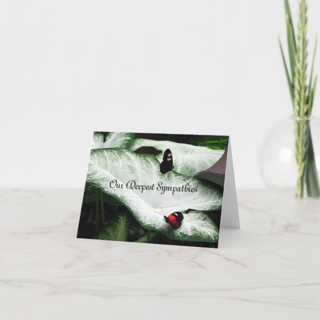 Carte Sympathie - Butterfles noir - Caladium (Devant)