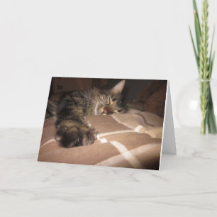 Carte Sympathie - chat