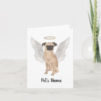 Sympathie de Bruxelles Griffon