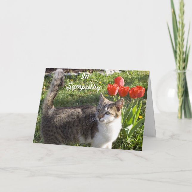 Carte Sympathie de chat avec les tulipes rouges (Devant)