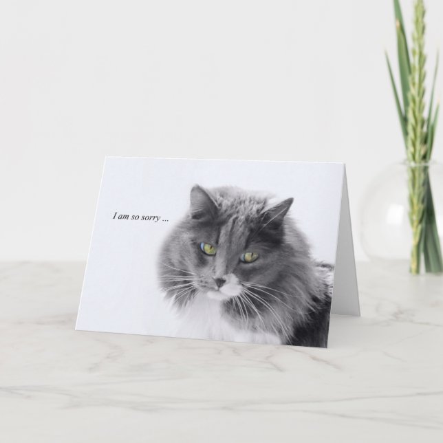 Carte Sympathie de chat minimaliste (Devant)