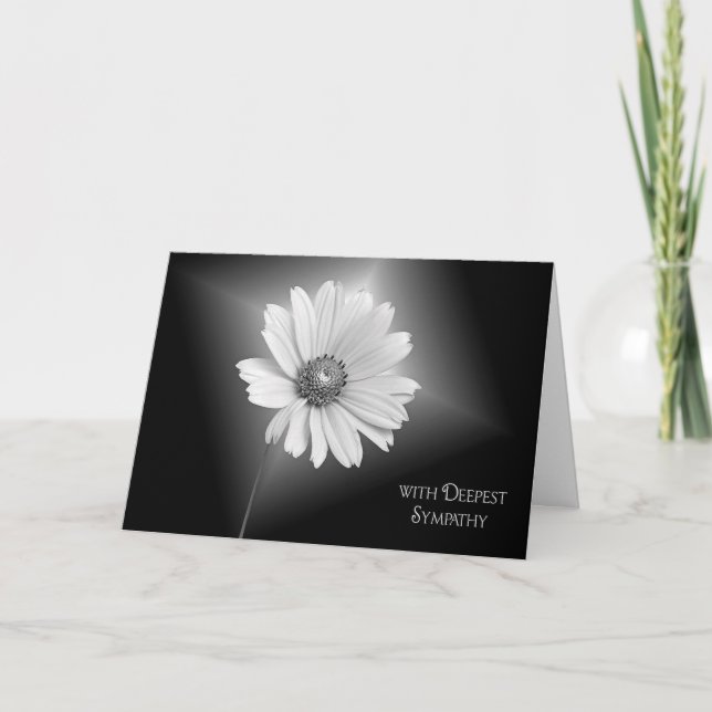 Carte Sympathie de la marguerite blanche (Devant)