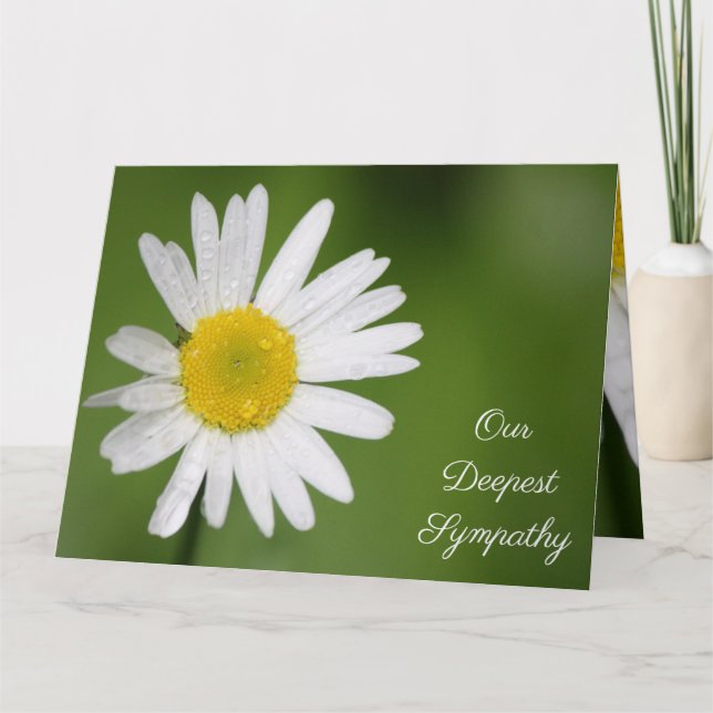 Carte Sympathie de la marguerite blanche (Devant)