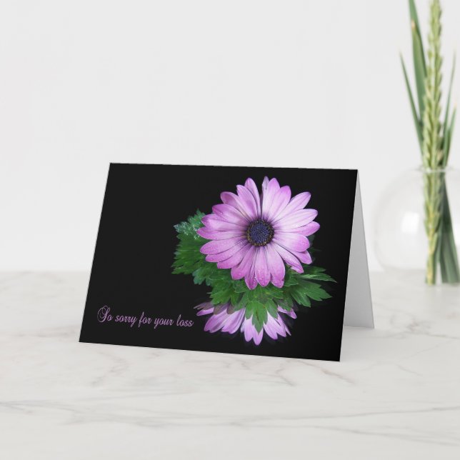 Carte Sympathie de la marguerite violette (Devant)