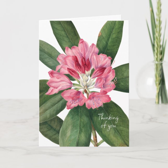 CARTE SYMPATHIE DES BEAUX FLEURS (Devant)